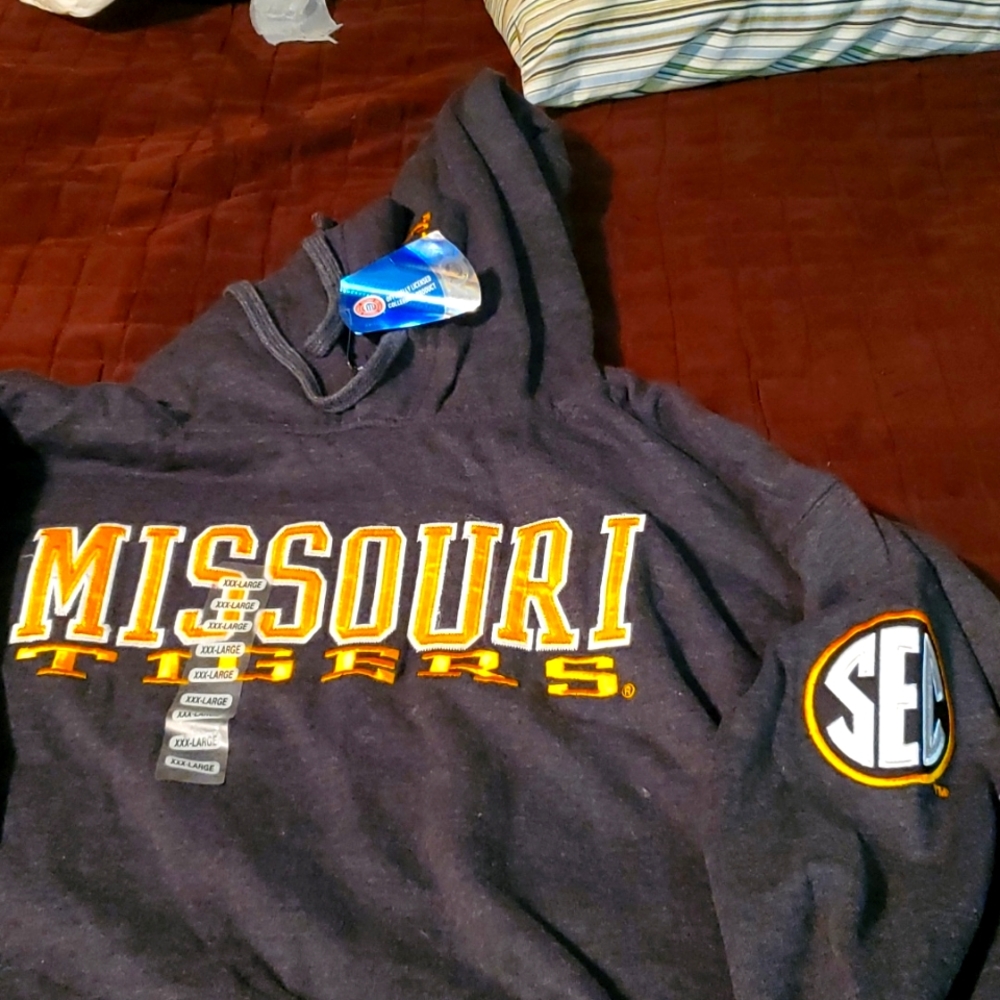 Men's Hoodie